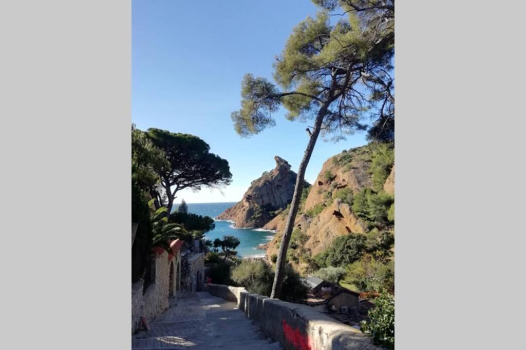 Le Repaire de la Cadière à 5mn des plages ! Saint-Cyr-sur-Mer Exterior foto